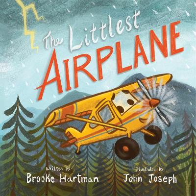 The Littlest Airplane book