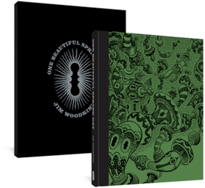 One Beautiful Spring Day Limited Edition by Jim Woodring