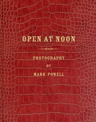 Open at Noon: Mark Alor Powell book