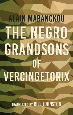 The Negro Grandsons of Vercingetorix book