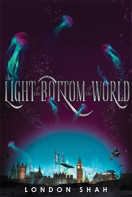 The Light at the Bottom of the World book
