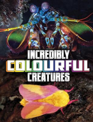 Incredibly Colourful Creatures book