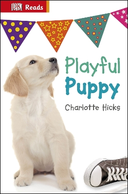 Playful Puppy book