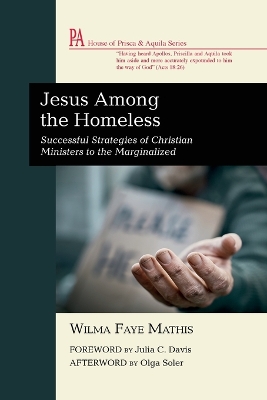 Jesus Among the Homeless: Successful Strategies of Christian Ministers to the Marginalized book