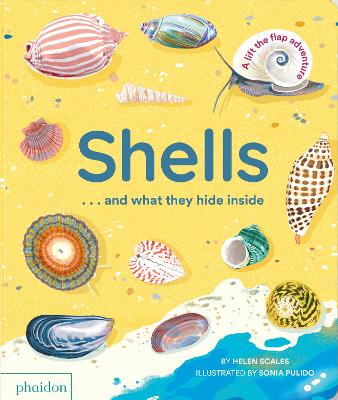 Shells... and what they hide inside: A Lift-the-Flap Adventure book