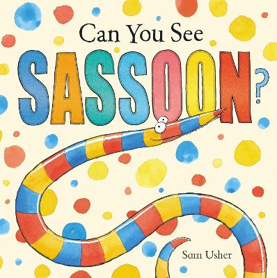 Can You See Sassoon? book