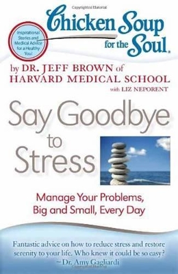 Chicken Soup for the Soul: Say Goodbye to Stress book