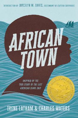 African Town book
