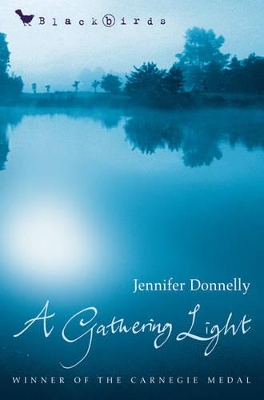 Gathering Light book