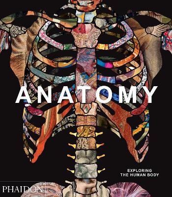 Anatomy: Exploring the Human Body by Phaidon Editors