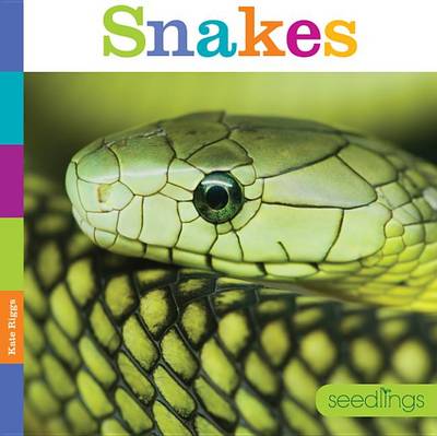 Snakes book