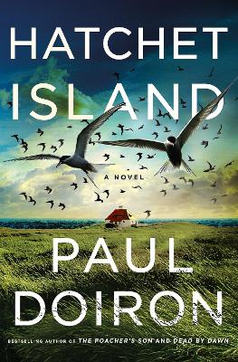 Hatchet Island: A Novel book