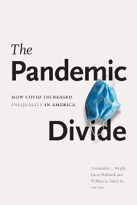 The Pandemic Divide: How COVID Increased Inequality in America book