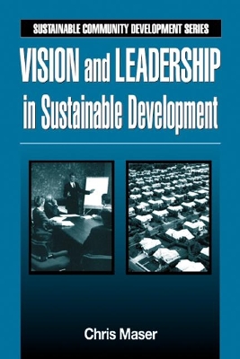 Vision and Leadership in Sustainable Development book