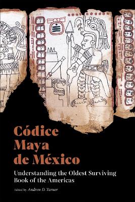 Codice Maya de Mexico: Understanding the Oldest Surviving Book of the Americas book