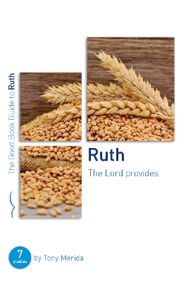 Ruth: The Lord Provides: Seven Studies for Groups and Individuals book