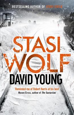Stasi Wolf by David Young