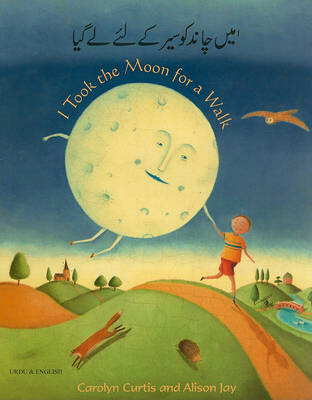 I Took the Moon for a Walk book