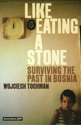 Like Eating a Stone book