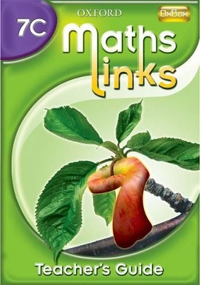 MathsLinks: 1: Y7 Teacher's Book C book