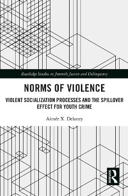 Norms of Violence: Violent Socialization Processes and the Spillover Effect for Youth Crime book