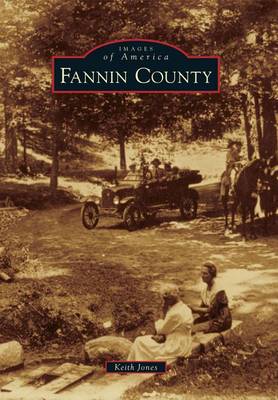 Fannin County book