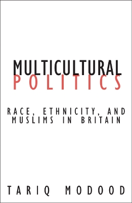 Multicultural Politics book