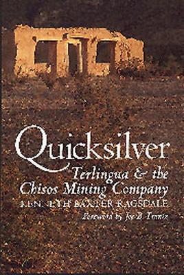 Quicksilver book