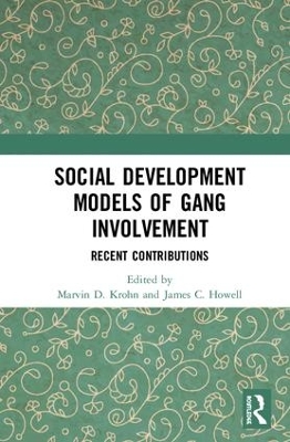 Social Development Models of Gang Involvement book