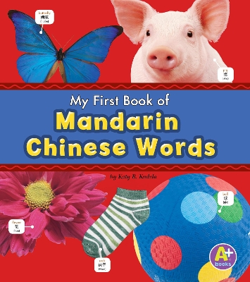 Mandarin Chinese Words book