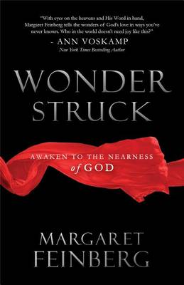 Wonderstruck book