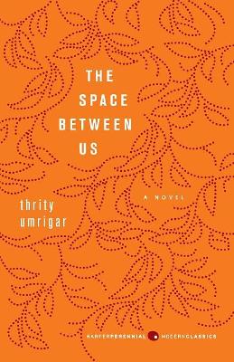 The Space Between Us by Thrity Umrigar