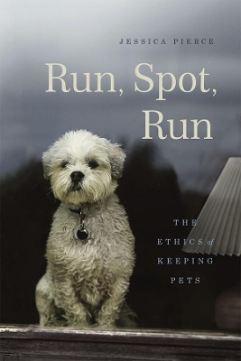 Run, Spot, Run book
