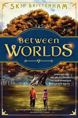 Between Worlds book