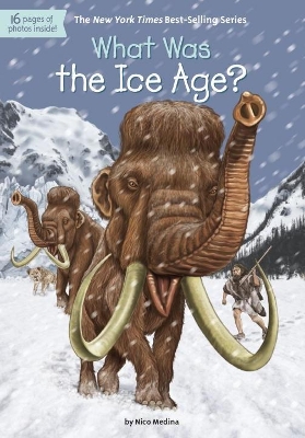 What Was the Ice Age? book
