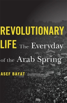 Revolutionary Life: The Everyday of the Arab Spring book