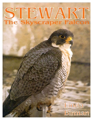 Stewart book