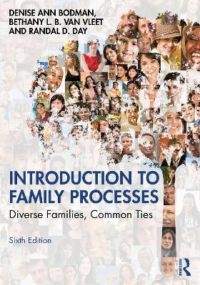 Introduction to Family Processes: Diverse Families, Common Ties book