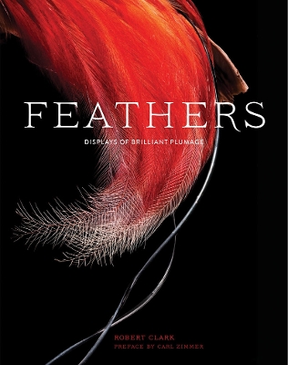 Feathers book