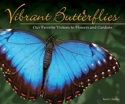 Vibrant Butterflies book