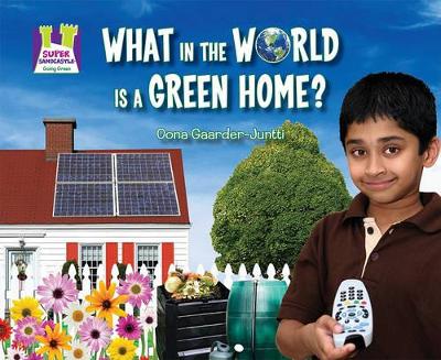 What in the World Is a Green Home? book