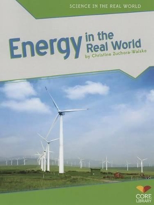 Energy in the Real World book