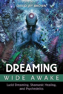 Dreaming Wide Awake book