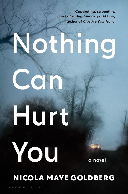 Nothing Can Hurt You book