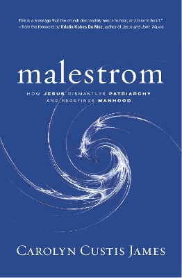 Malestrom: How Jesus Dismantles Patriarchy and Redefines Manhood book