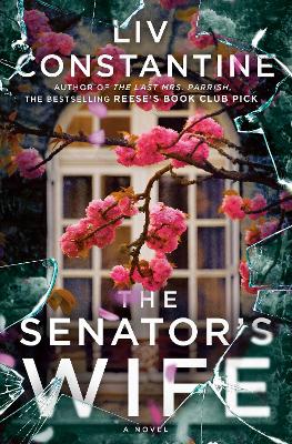 The Senator's Wife: A Novel book