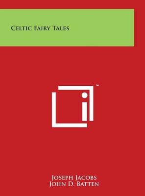 Celtic Fairy Tales book