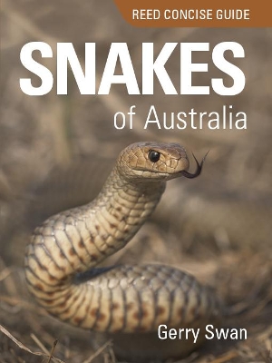 Reed Concise Guide: Snakes of Australia: Reed Concise Guide by Gerry Swan