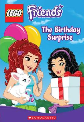 Lego Friends: The Birthday Surprise (Chapter Book #4) book