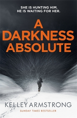 Darkness Absolute book